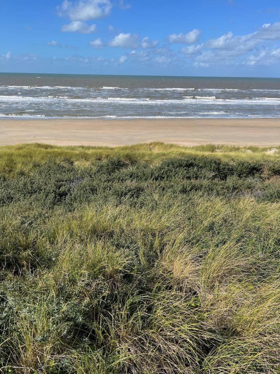 Studio34 Zandvoort Free Parking 外观 照片